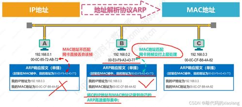 計算機網絡入門基礎篇 數據鏈路層（下）與相關技術開發服務