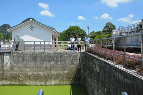 縣城市管理監督局深入葡萄鎮污水處理廠開展調研工作，聚焦智慧管理與綠色發展